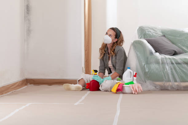 Reliable Bathroom Mold Removal contractor in Waverly, IL by WQB Mold Removal