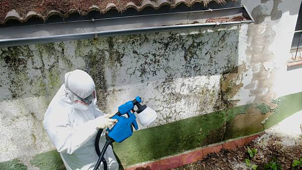 Top rated local Bathroom Mold Removal specialists in Waverly, IL